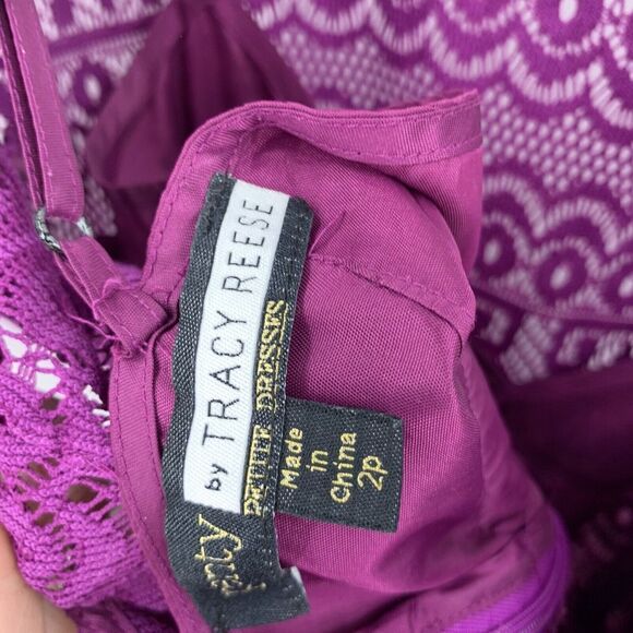 Plenty by Tracy Reese Dress Womens Size 2P Purple Estella Lace Fit & Flare B12 - Picture 8 of 10